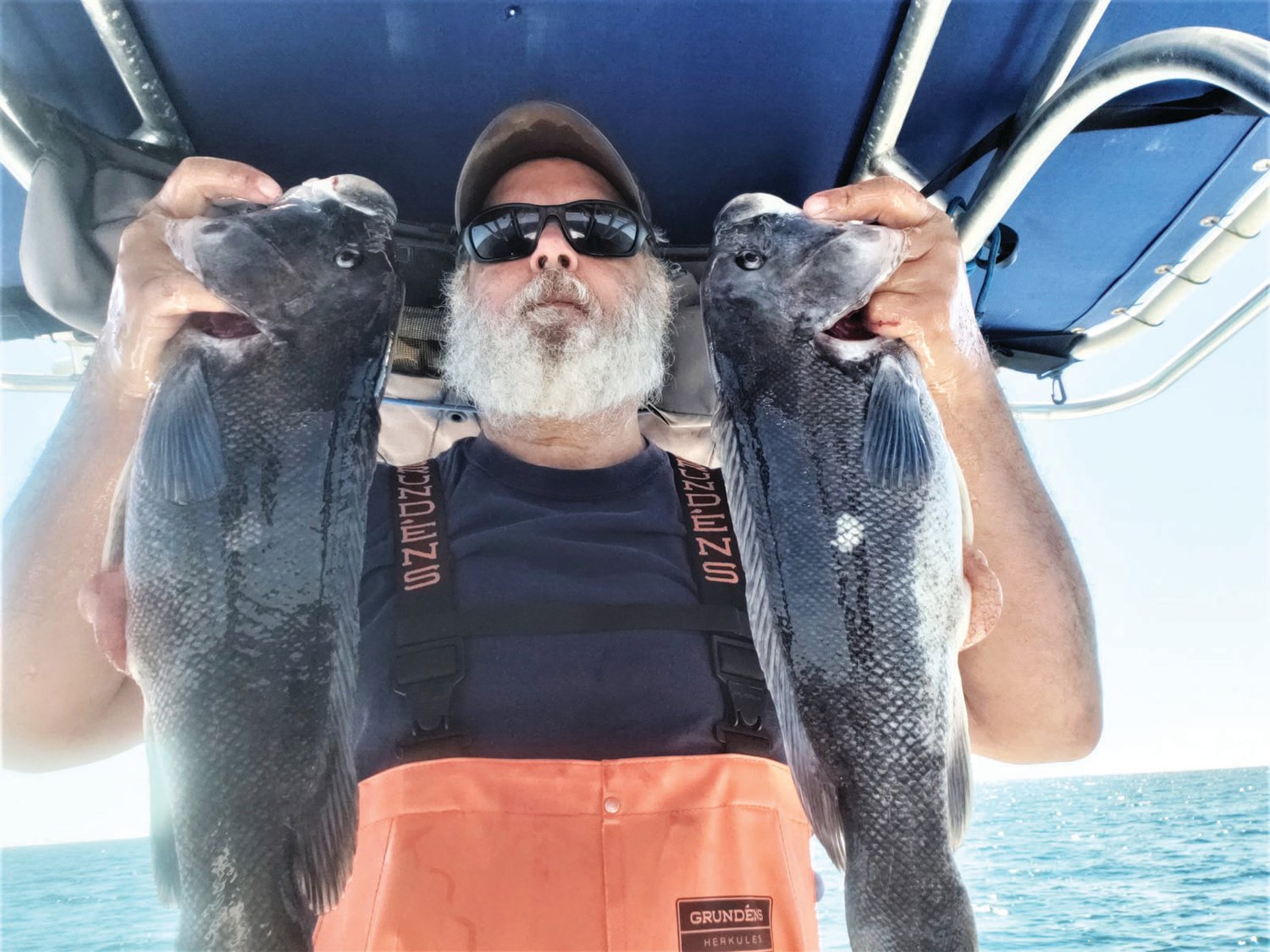 TAUTOG BITE IMPROVING:  Paul Phillips of North Kingstown with tautog he caught earlier this year. He fished Monday off Newport and caught 42 tautog several were keepers 16-20 inches.